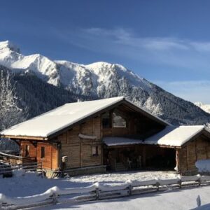 Chalet Chalet Les Neiges Eternelles - 14-18 personen  Europa Châtel