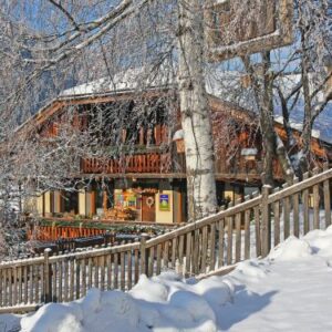 Chalet Chalet de Claude met sauna en outdoor hot tub - 10 personen  Europa Peisey