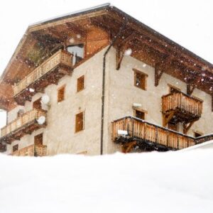 Chalet Chalet Ulysse met infraroodsauna - 10 personen  Europa Peisey